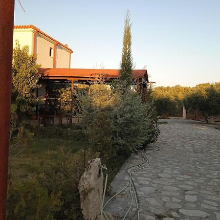 Fοivos And Athina Villas Archanes Exterior photo